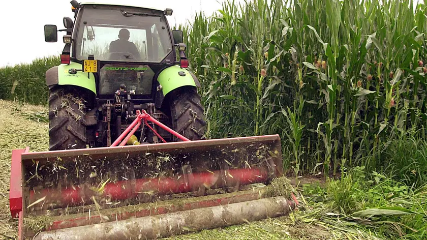 Bandi per i giovani agricoltori: lotta tra associazioni di categoria venete