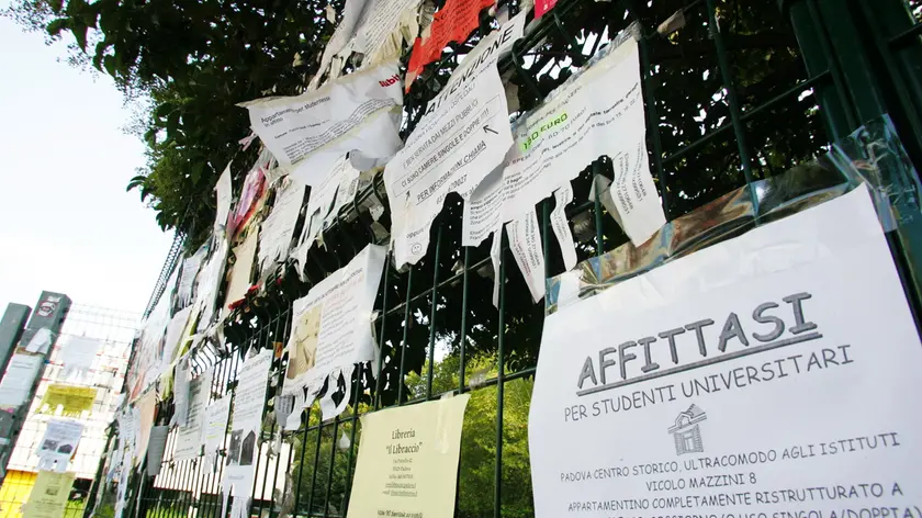 Affitti universitari in Veneto: il focus