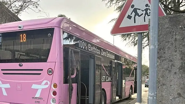 Il bus coinvolto nello schianto