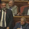 La seduta in Senato, in piedi Luca De Carlo