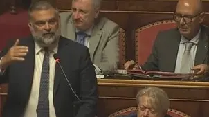 La seduta in Senato, in piedi Luca De Carlo