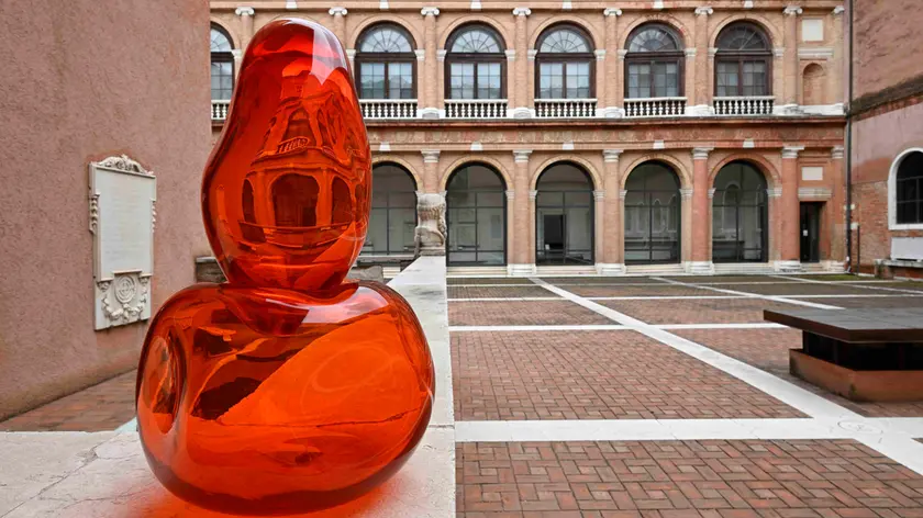 Personale di Tristano di Robilant all’Accademia (foto di Francesco Barasciutti)