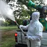 Chikungunya nel Veronese: 50 casi autoctoni, colpiti Sant’Ambrogio e San Pietro in Cariano