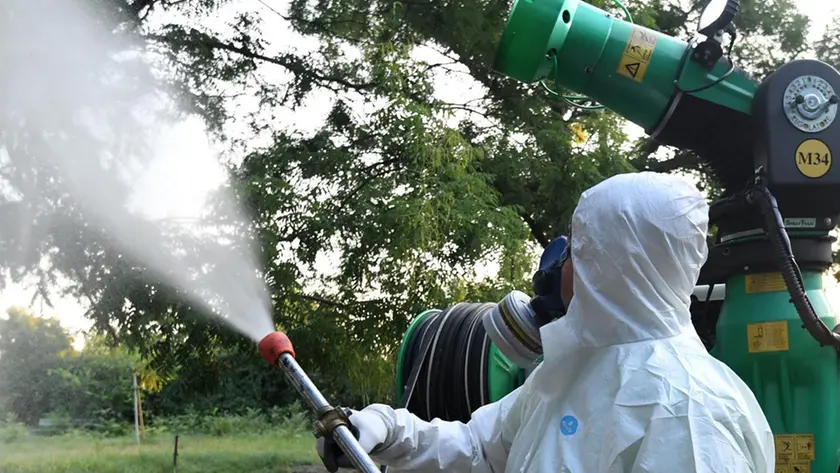 Chikungunya nel Veronese: 50 casi autoctoni, colpiti Sant’Ambrogio e San Pietro in Cariano