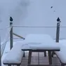 La nevicata nel Bellunese