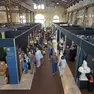 Gli stand dentro l'Arsenale