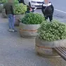 Il momento del borseggio