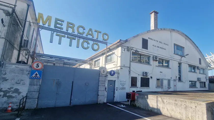 Mercato Ittico al Tronchetto