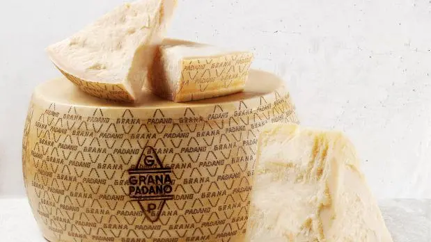 "Grana" solo per il Grana Padano: la sentenza che rafforza la protezione della DOP