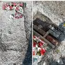 La tomba scoperchiata nel cimitero di Vigonovo