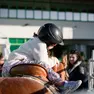 La Fieracavalli si terrà a Veronafiere dal 6 al 9 novembre