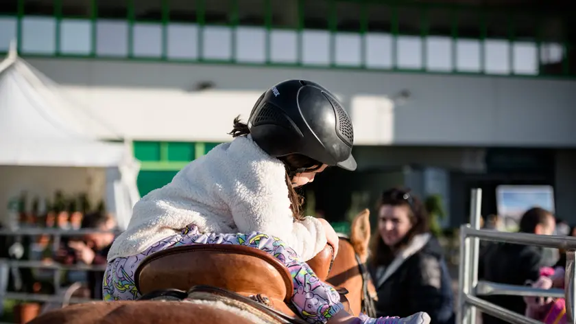 La Fieracavalli si terrà a Veronafiere dal 6 al 9 novembre