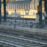 L'invasione di piccioni sulle banchine della stazione