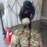 Le capesante sequestrate al mercato ittico di Chioggia