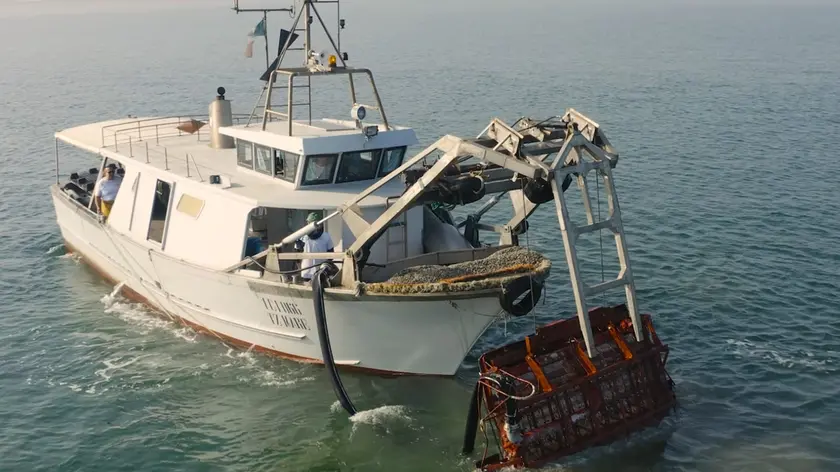 Pescatori fermi da 13 mesi, “Il mare è cambiato, non sappiamo cosa sta succedendo”