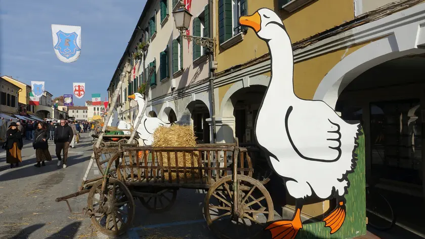 La Fiera de L'Oca a Mirano