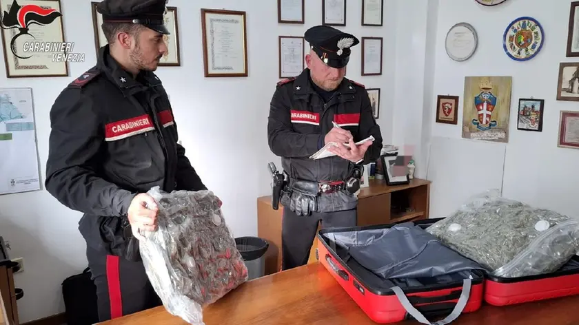 Il trolley pieno di marijuana