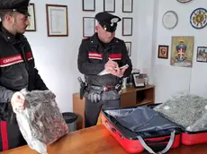 Il trolley pieno di marijuana