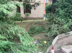 La scia lasciata dall’auto del commercialista in via Montello nel giardino della casa antistante al luogo dell’incidente