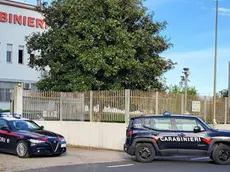 Due volanti dei carabinieri