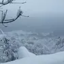 Una nevicata in Valdobbiadene