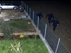 I ladri riprese dalle telecamere a Noale