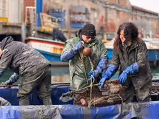 La raccolta dei rifiuti durante l'immersione di domenica 7 dicembre 2025