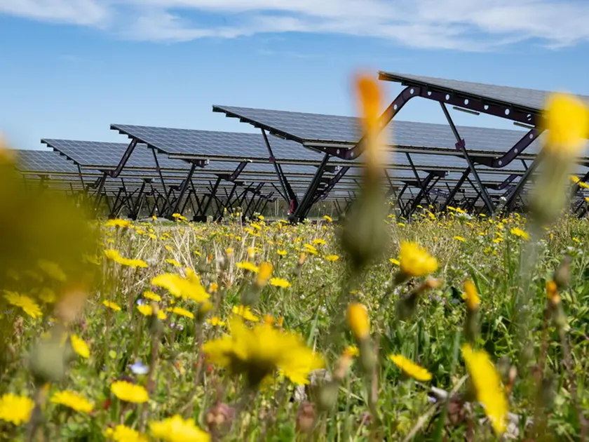 Un impianto agrivoltaico