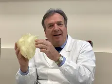 Il professor Gino Gerosa