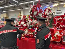 I carabinieri durante i controlli