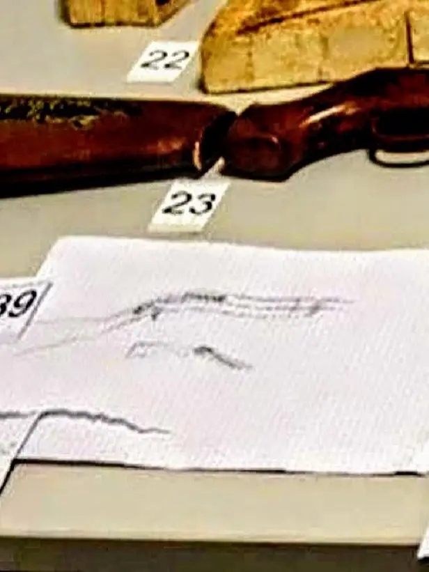 Alcuni disegni dell'arrestato