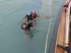 Le ricerche in corso dei vigili del fuoco