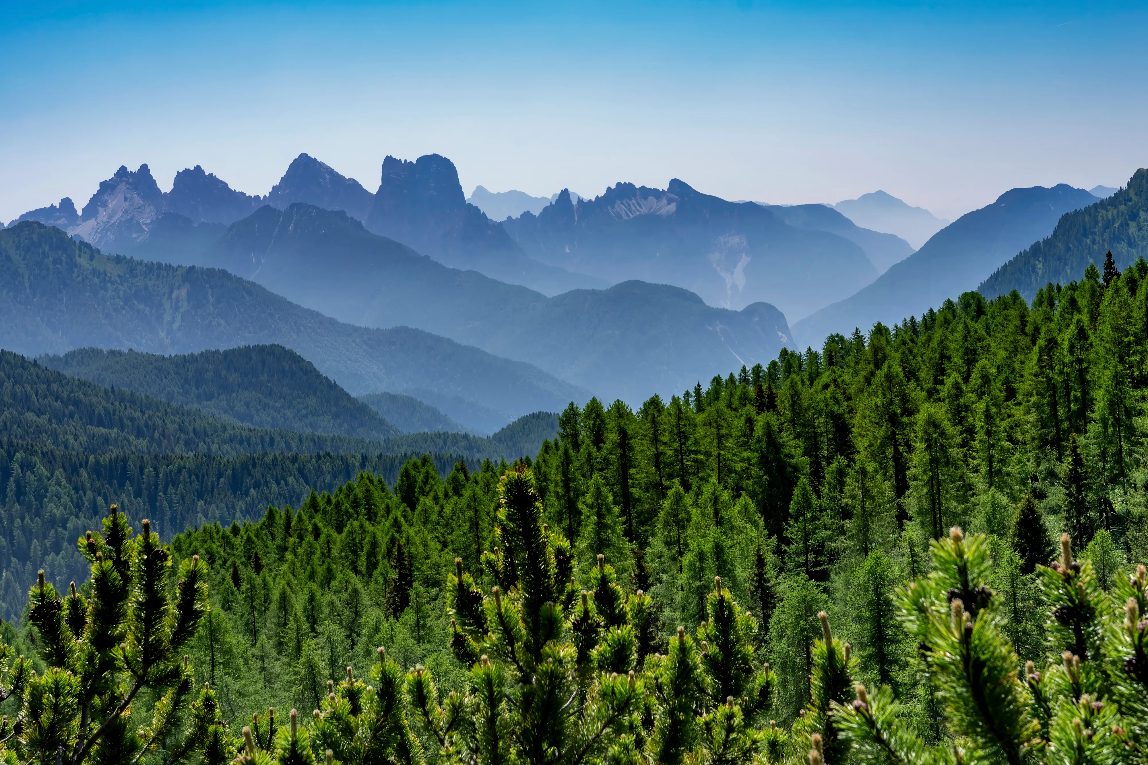 Dodici scatti, uno per ciascun mese, selezionati tra gli oltre 2700 che hanno partecipato al concorso indetto dal nostro giornale con Nord Est Multimedia e la Regione Veneto. Ecco come è andata: il calendario sarà in omaggio gratuito con la Nuova di Venezia e Mestre solo martedì 23 dicembre