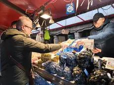 Il mercato del pesce a Chioggia