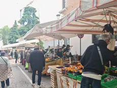 Il mercato bisettimanale di Mestre