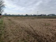 Qui, nella campagna di Mira, ai confini con il territorio di Venezia, è stato trovato il corpo senza vita del giovane moldavo