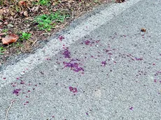 Le tracce di sangue sull’asfalto poco dopo l’incidente che è costato la mano a un sedicenne foto petrussi