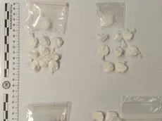 Le dosi di cocaina e hashish sequestrate