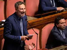 Il senatore Raffaele Speranzon