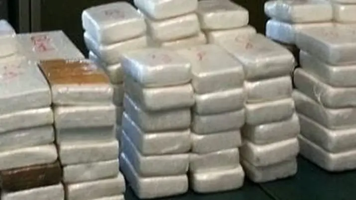 Panetti di cocaina. A Marcon il sequestro della droga nascosta in sacchetti griffati