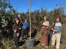 Ragazze al lavoro nell'isola di Poveglia
