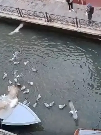 La "battaglia" sul Rio Marin