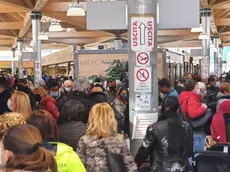 Il mercato coperto di Mestre