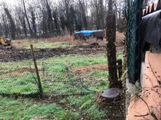 La rete divelta dai ladri per entrare nel giardino della villetta di Salzano