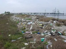 Rifiuti abbandonati, giro di vite di Veritas: quasi 2mila multe e patente a rischio