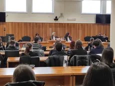 Violenza sessuale tra donne: il processo a Treviso