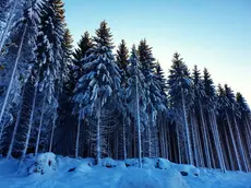 Neve in montagna. Rischio valanghe nelle Prealpi