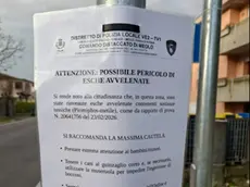Gli avvisi affissi dal Comune a Meolo