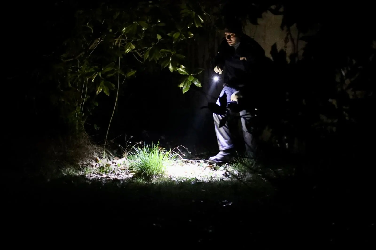 "Mario Ruoso è stato ucciso con un corpo contundente alla testa". Lo ha detto il Procuratore di Pordenone, Pietro Montrone, uscendo dall'abitazione del patron di TelePordenone, al termine del sopralluogo con la polizia scientifica. La vittima sarebbe stata presa a sprangate e la morte risalirebbe al pomeriggio del 4 marzo. Sull'esito delle indagini c'è il massimo riserbo: l'unica cosa filtrata da ambienti investigativi è che "c'è stata una mattanza". L'assassino avrebbe infierito ripetutamente sul corpo dell'anziano imprenditore. Ecco le immagini della polizia alla ricerca della possibile arma sul luogo del delitto (Foto Ambrosio/Petrussi)