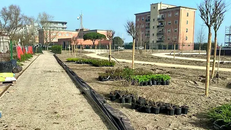 Piantumazione in corso nell’Arena dove sorgerà un contenitore culturale